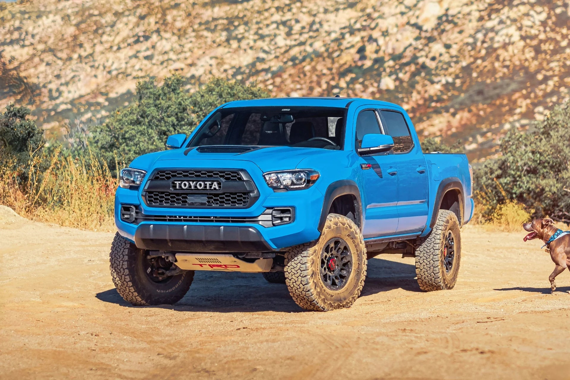 Blue Toyota truck on a dirt road with a dog in the background